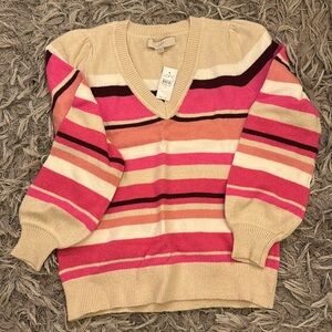 V neck striped Loft sweater.